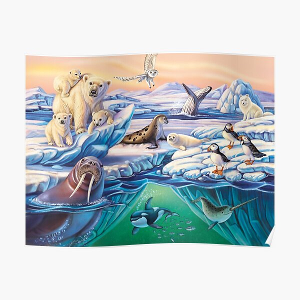 Arctic Animals Poster