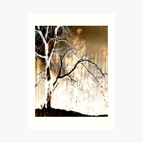 Nightnoise Kunstdruck