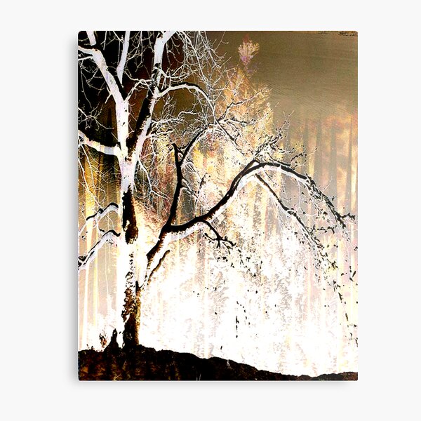 Nightnoise Metallbild