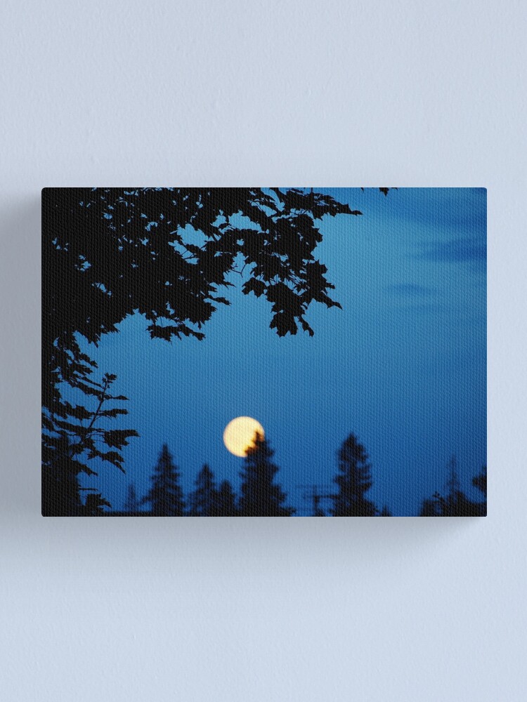 Alternate view of You Are The Moon Canvas Print