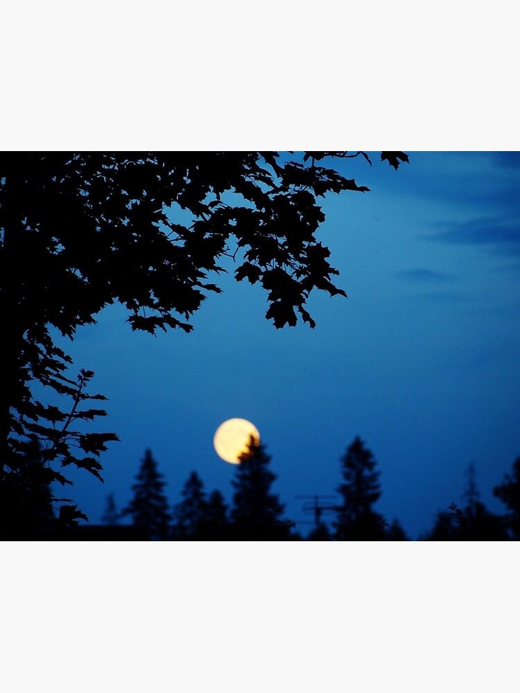 You Are The Moon by annemaris