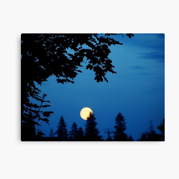 You Are The Moon Canvas Print