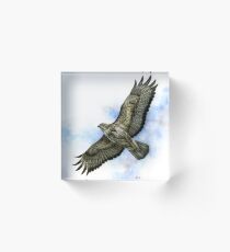 Buzzard Acrylic Block