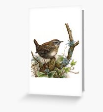 Wren Greeting Card