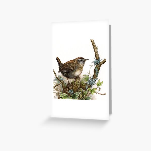 Wren Greeting Card