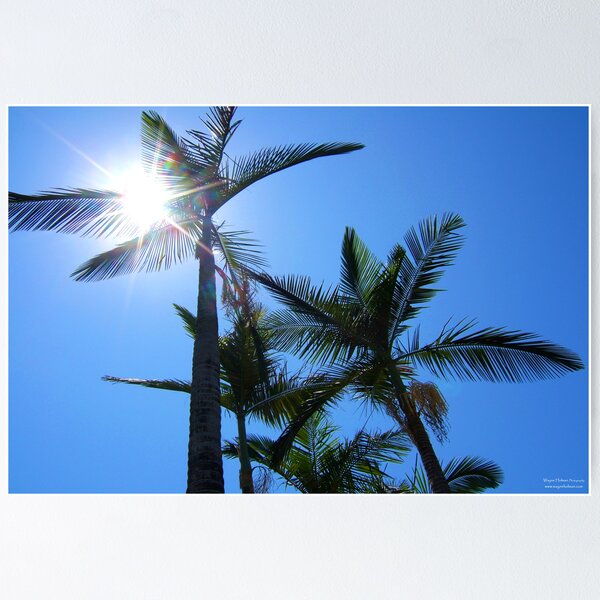 Item preview, Swinging Palms designed and sold by Wayne Holman.