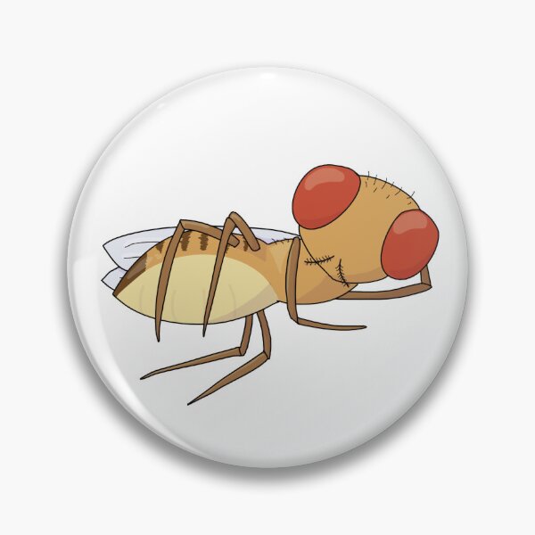 Item preview, "Model" Organism Fruit Fly Drosophila designed and sold by prune1771.