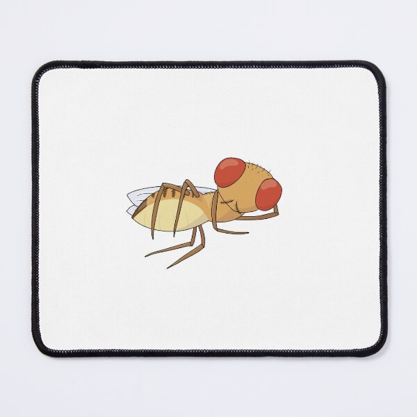 Item preview, "Model" Organism Fruit Fly Drosophila designed and sold by prune1771.