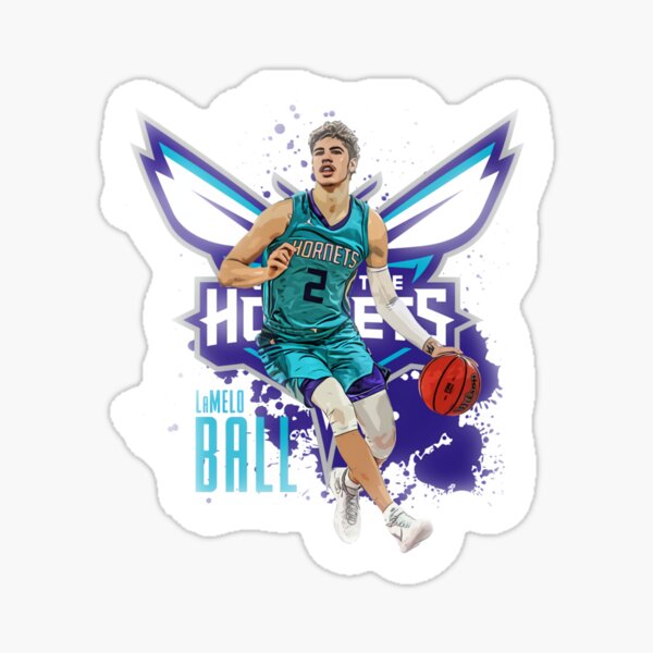 Lonzo and Lamelo Ball  Sticker for Sale by glosha