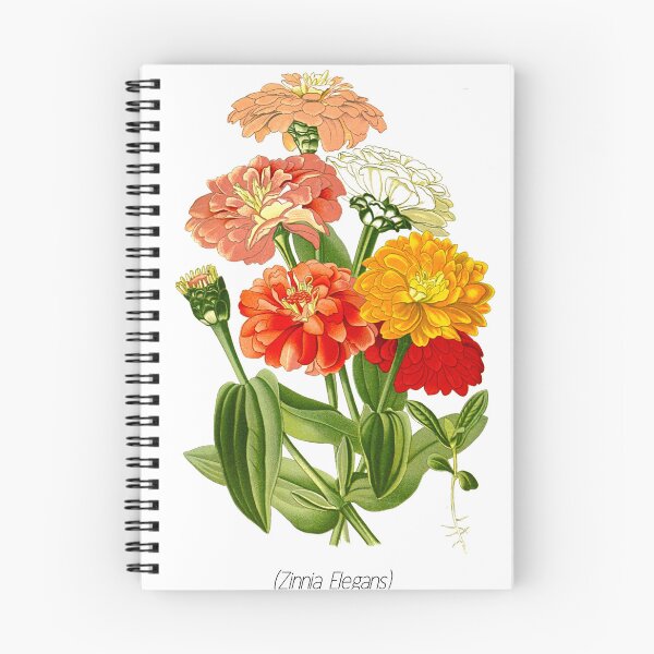 Item preview, Zinnia Elegans Mixed Colors Flower designed and sold by MochaMeli.