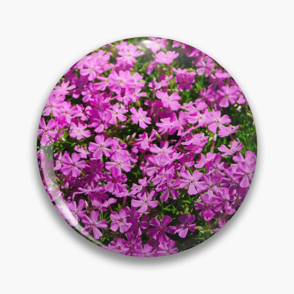Item preview, Phlox rastrero designed and sold by jenstever.
