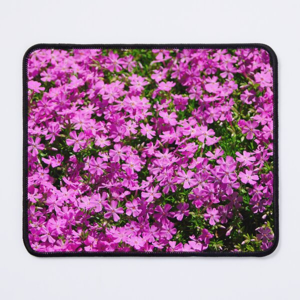 Item preview, Creeping Phlox designed and sold by jenstever.