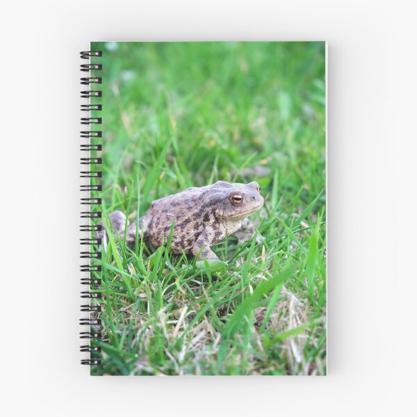Item preview, Bufo bufo frog  designed and sold by Claraveritas.