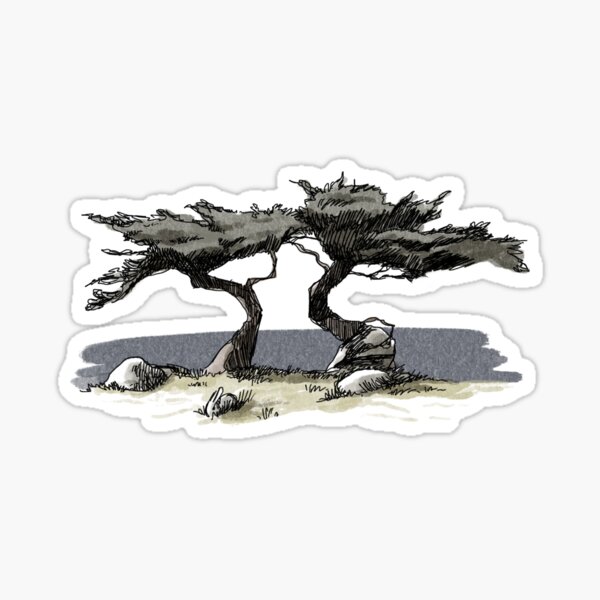 Cypress Lovers Sticker