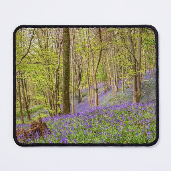 Item preview, Bluebells, Margam Forest, Wales designed and sold by Dan Santillo.