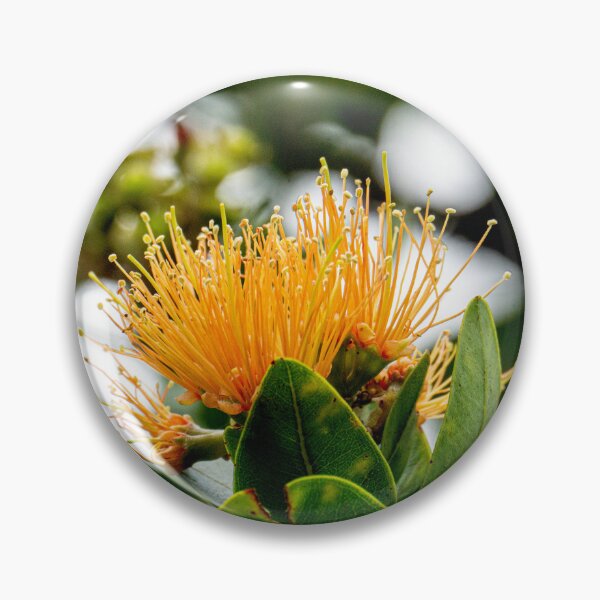 Item preview, Orange Lehua Blossom designed and sold by Keola Makaiau.