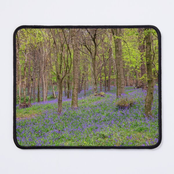 Item preview, Margam Forest Bluebells designed and sold by Dan Santillo.