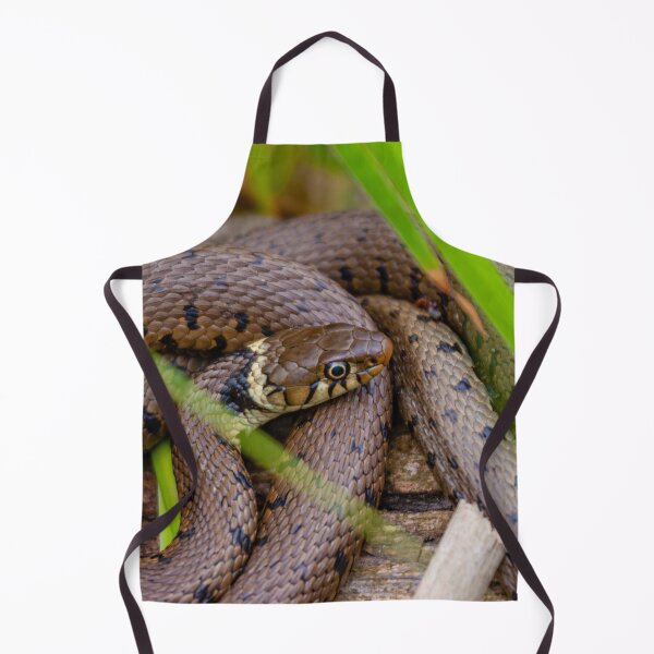 Item preview, Just Lazing in the sun designed and sold by Dalyndigital Photography.