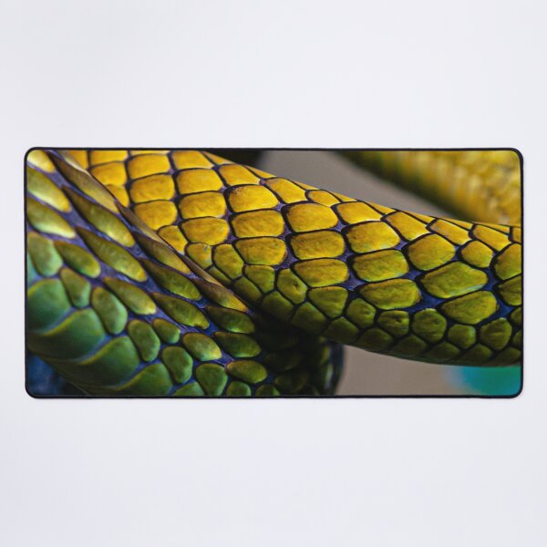 Item preview, Beautiful but deadly Green Mamba scales designed and sold by Dalyndigital Photography.