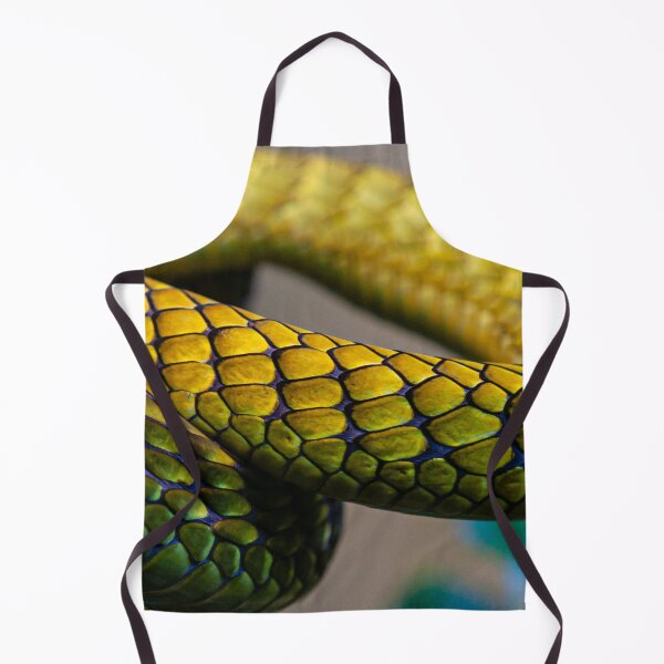 Aperçu de l'œuvre Des écailles de Green Mamba belles mais mortelles créée et vendue par Dalyndigital Photography.