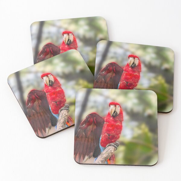 Item preview, Guacamayo designed and sold by NaturallyArt.