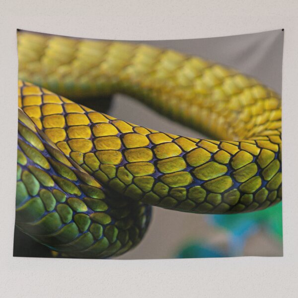 Item preview, Hermosas pero mortales escamas de Mamba Verde designed and sold by Dalyndigital Photography.