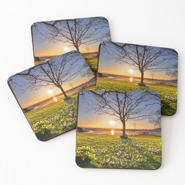 Item preview, Mumbles from West Cross, Swansea designed and sold by Dan Santillo.