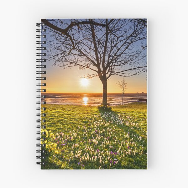 Item preview, Mumbles de West Cross, Swansea designed and sold by Dan Santillo.