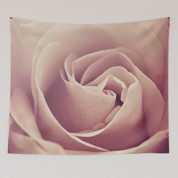 Aperçu de l'œuvre Rose Standard créée et vendue par inlightimagery.