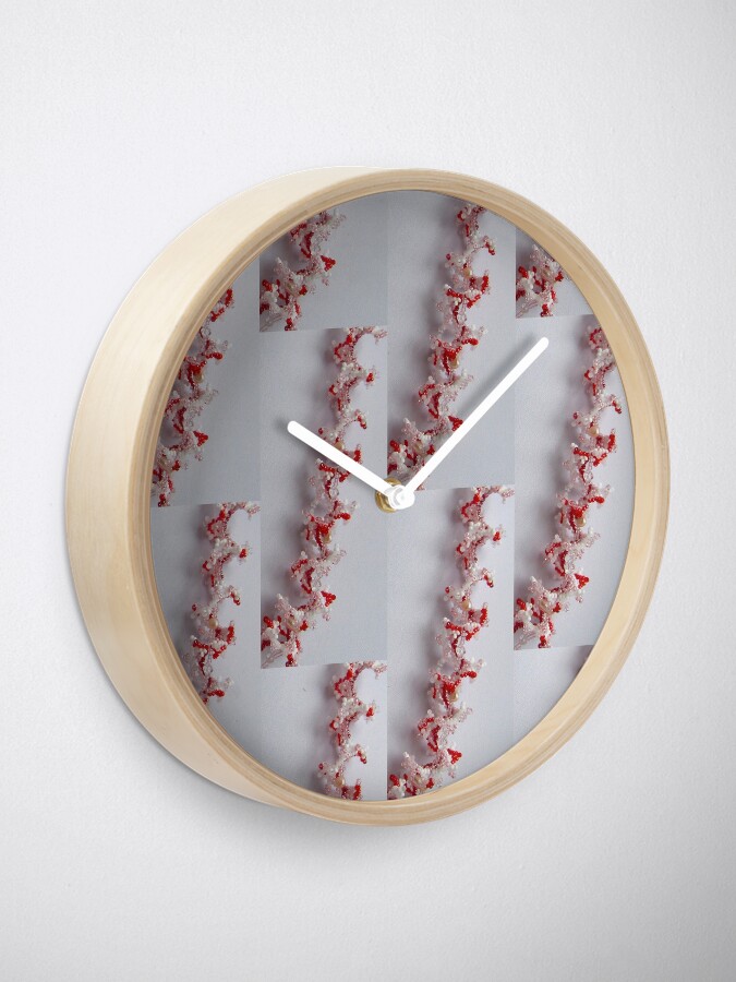 Alternate view of Corals Clock