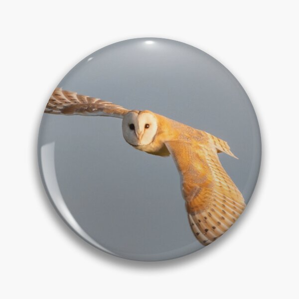 Item preview, Barn owl designed and sold by Rosscoe1985.