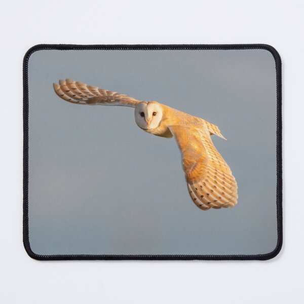Item preview, Barn owl designed and sold by Rosscoe1985.