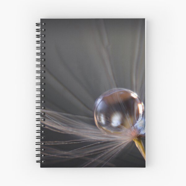 Item preview, Balanced designed and sold by inlightimagery.