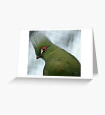 Turaco Greeting Card