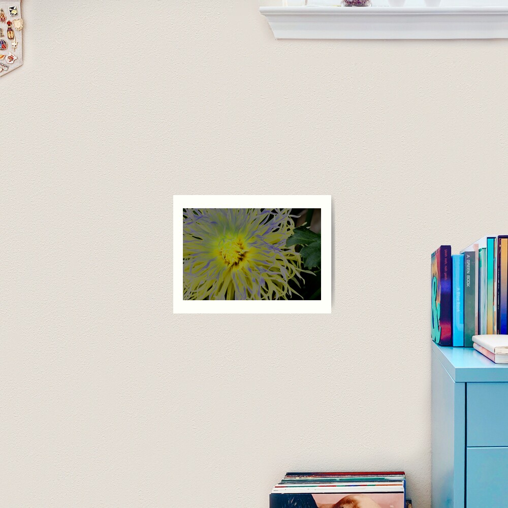 Flowers 2 Art Print