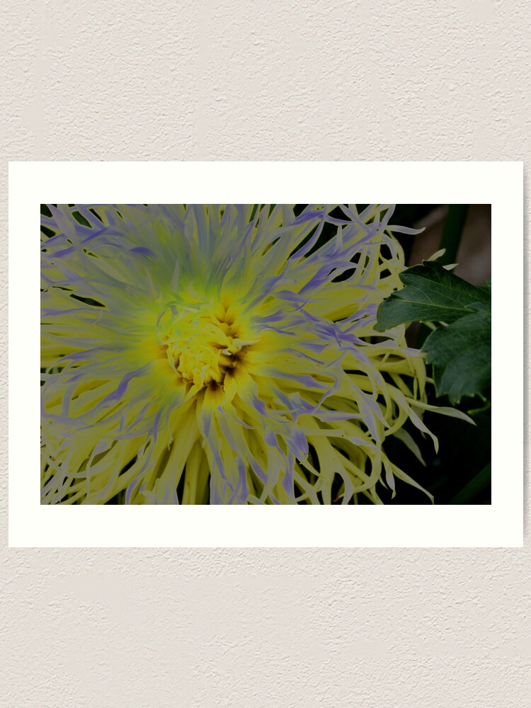 Alternate view of Flowers 2 Art Print