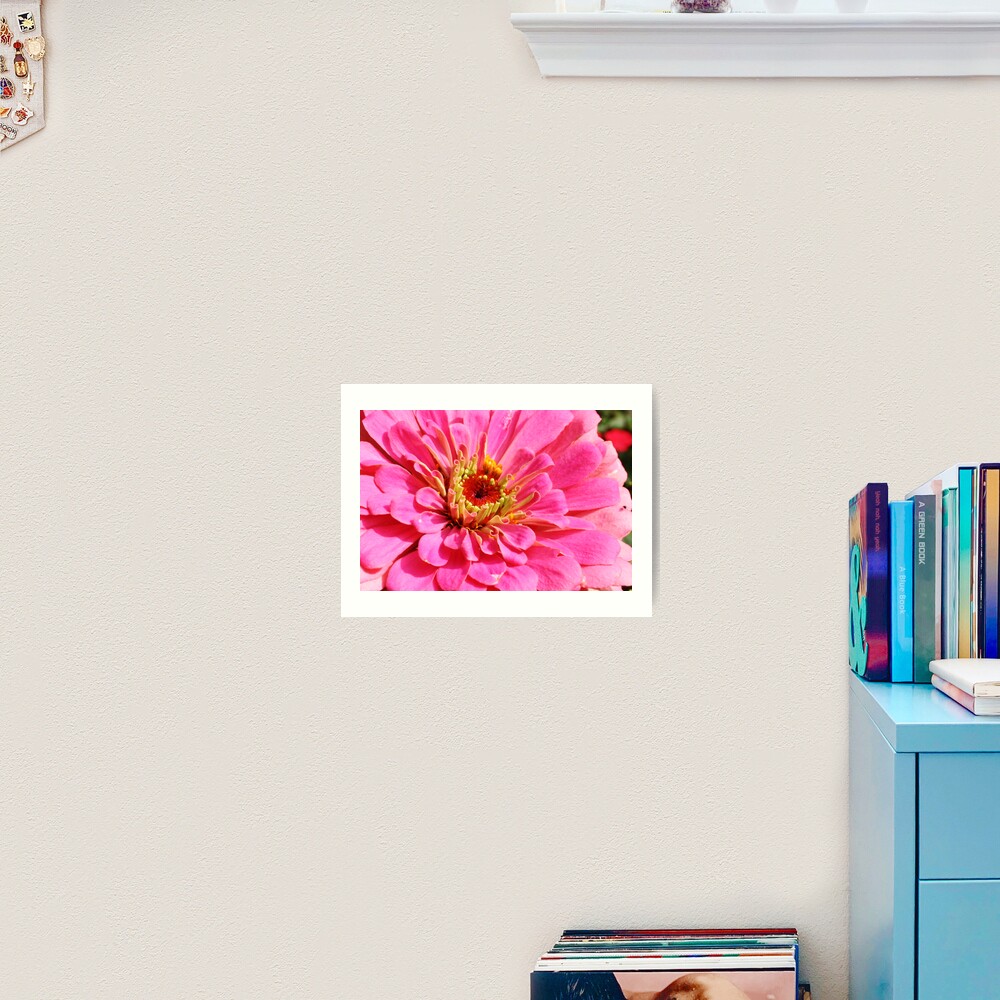 Flowers 4 Art Print