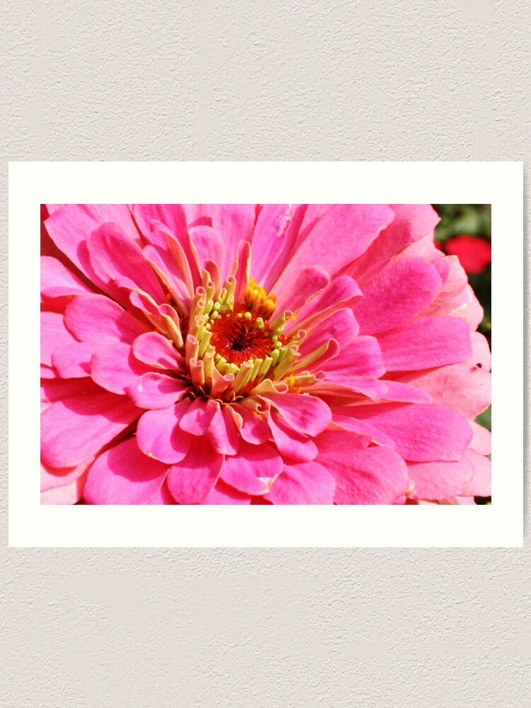 Alternate view of Flowers 4 Art Print