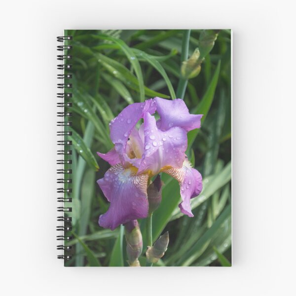 Item preview, Springtime Rainshower - Purple German Iris in Bloom designed and sold by Georgia Mizuleva.