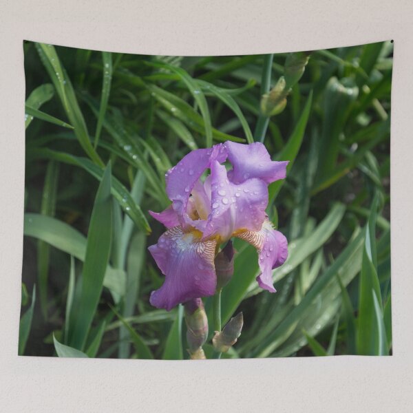 Item preview, Springtime Rainshower - Purple German Iris in Bloom designed and sold by Georgia Mizuleva.