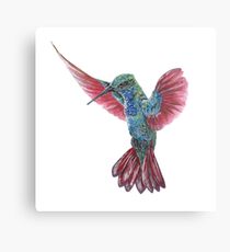 Hummingbird Canvas Print