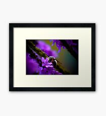 Bumble Framed Print