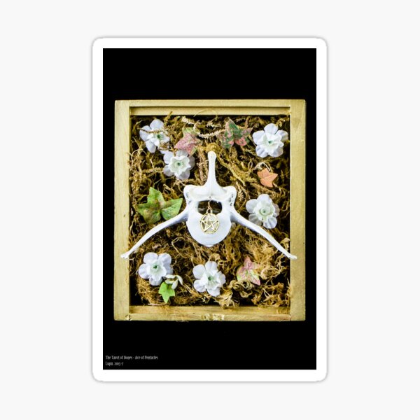 Tarot of Bones - Ace of Pentacles Sticker