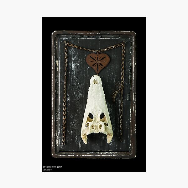 Tarot of Bones - Justice Photographic Print