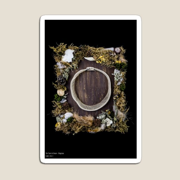 Tarot of Bones - Magician Magnet