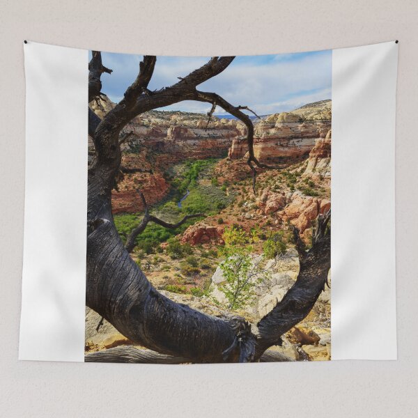 Item preview, Windows designed and sold by Chad Dutson.