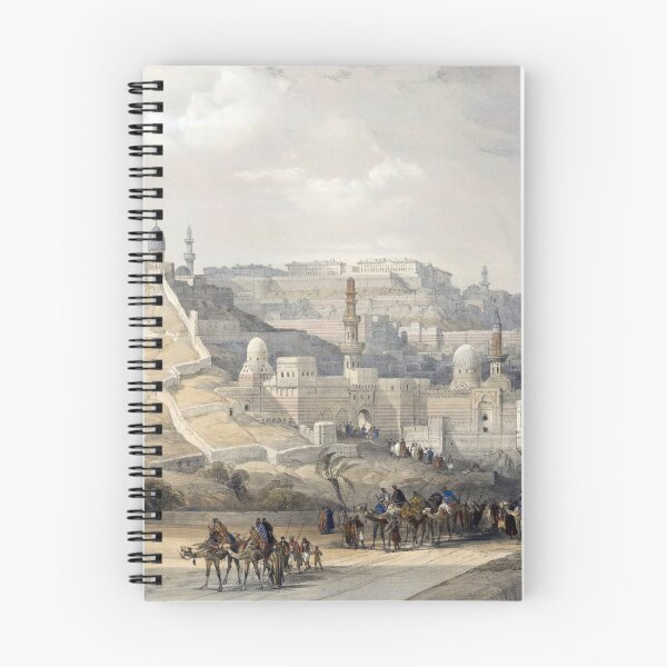 Item preview,  Citadel of Cairo designed and sold by AlexSin.