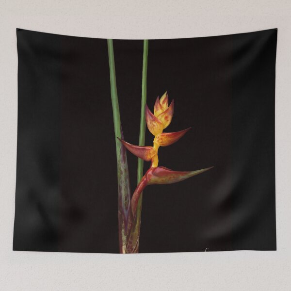 Item preview, Splash heliconia  designed and sold by farqty.