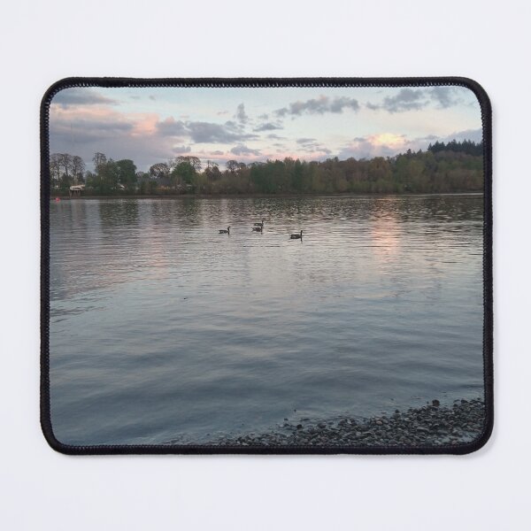 Item preview, Golden hour goose river designed and sold by AsaMetrikArt.