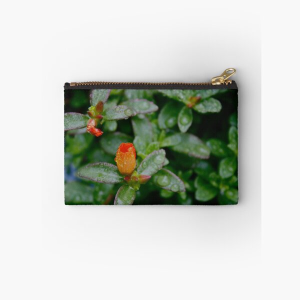 Item preview.